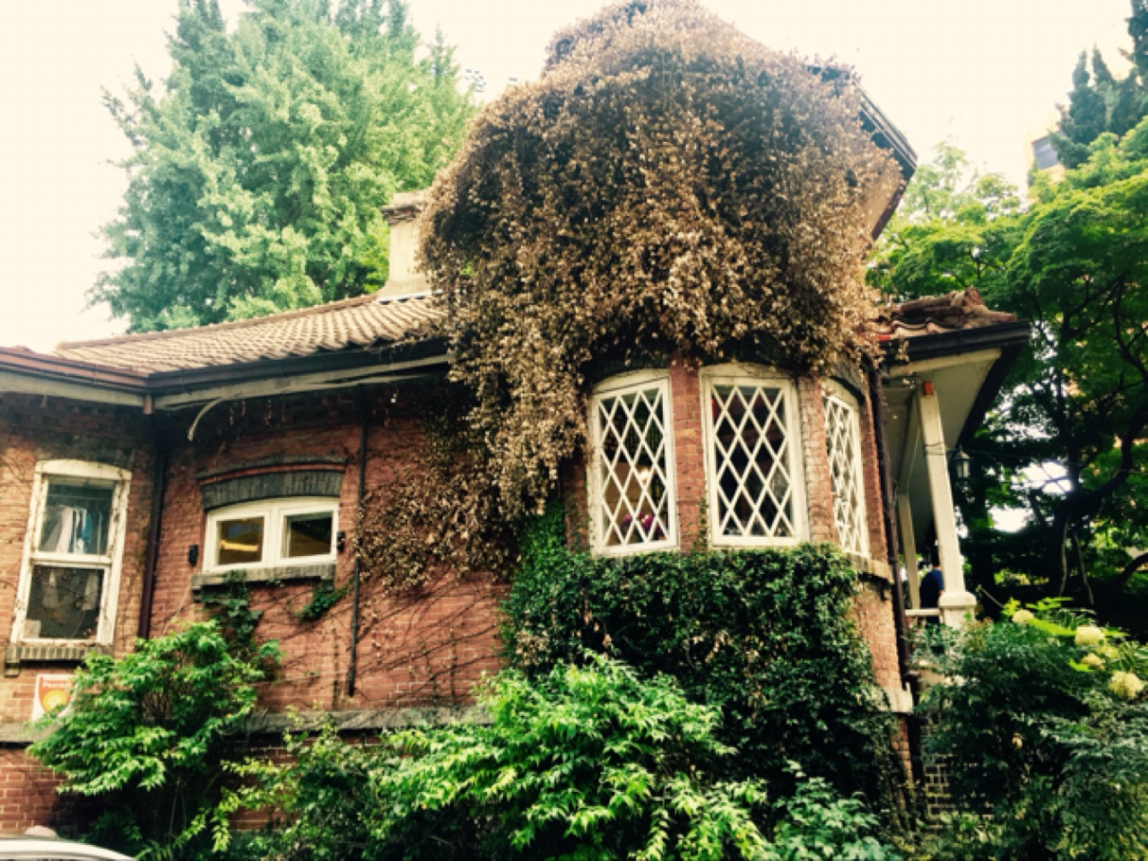 더파스타 충정로점