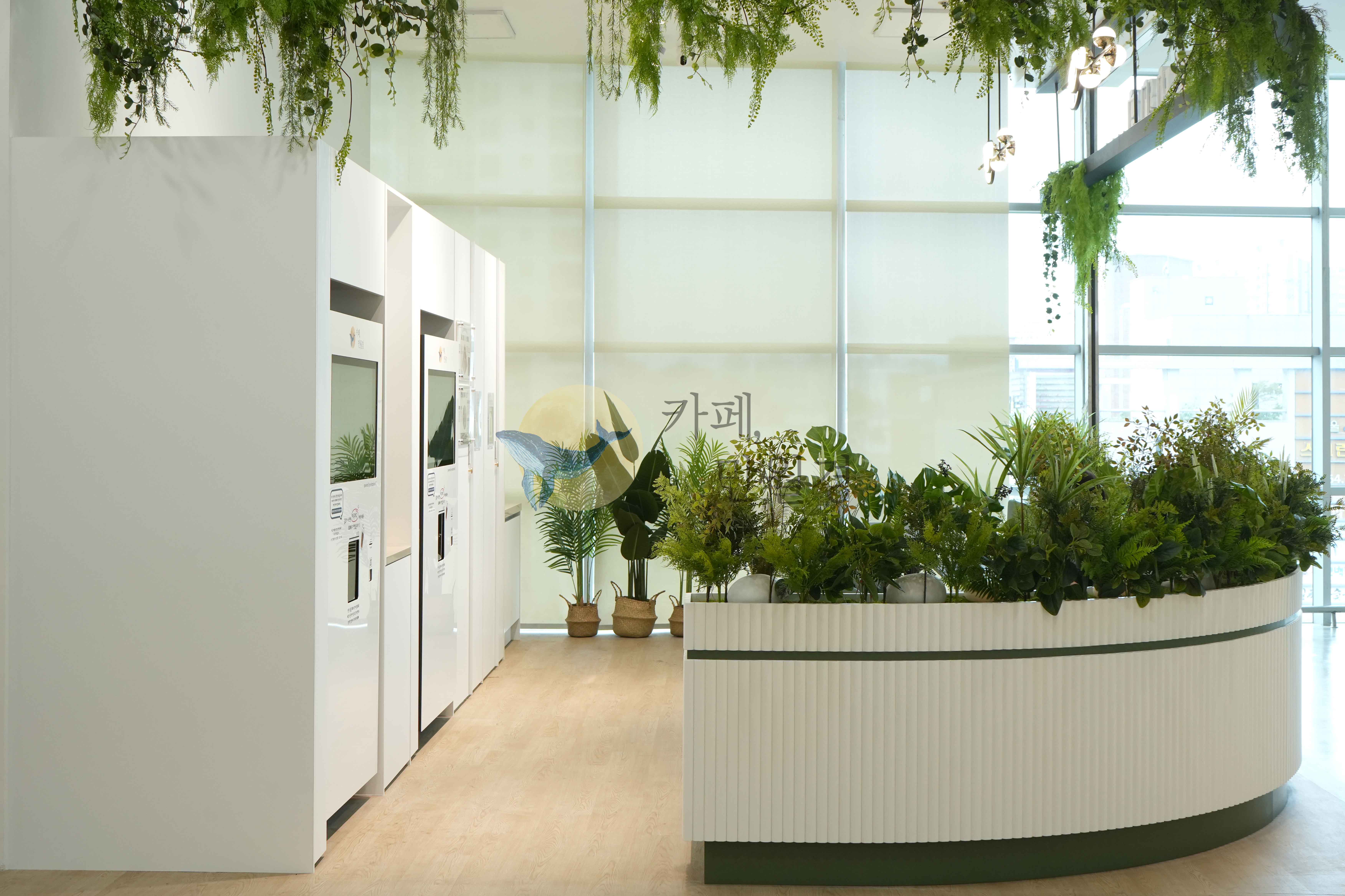 카페만월경 롯데마트삼양점