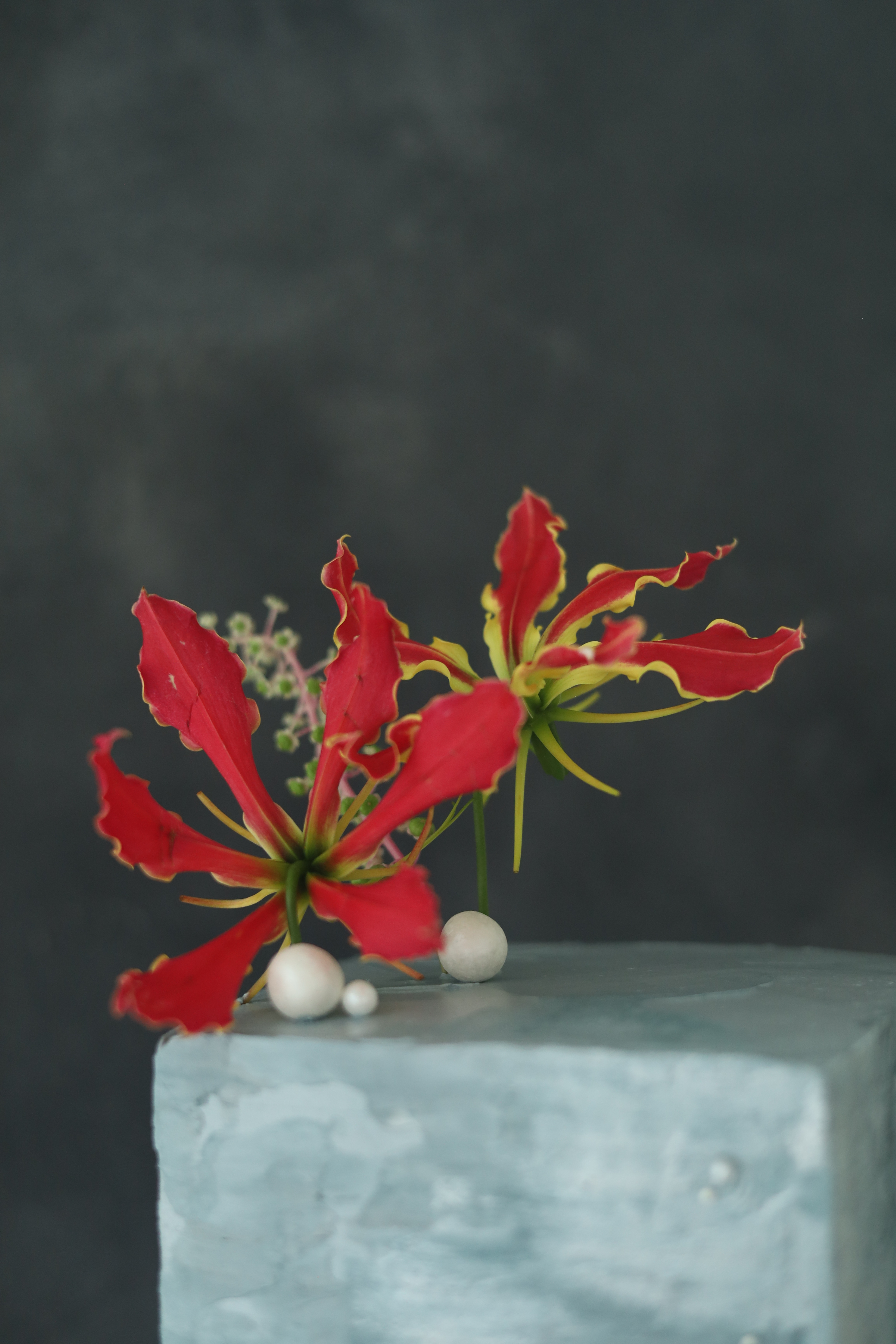 플로멜트 케이크