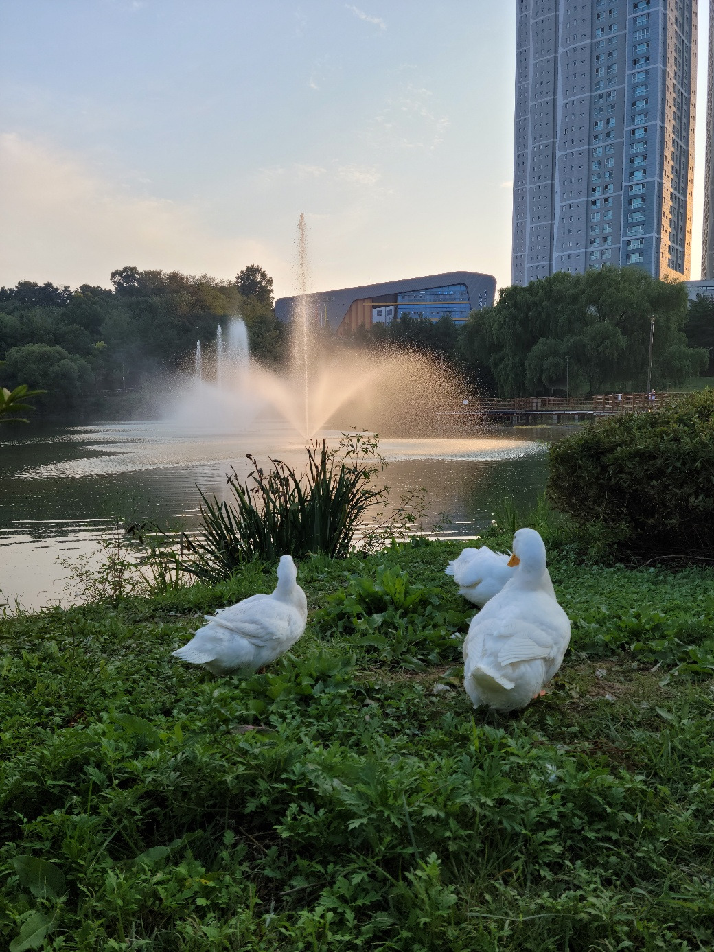 꿀꿀이 생삼겹살