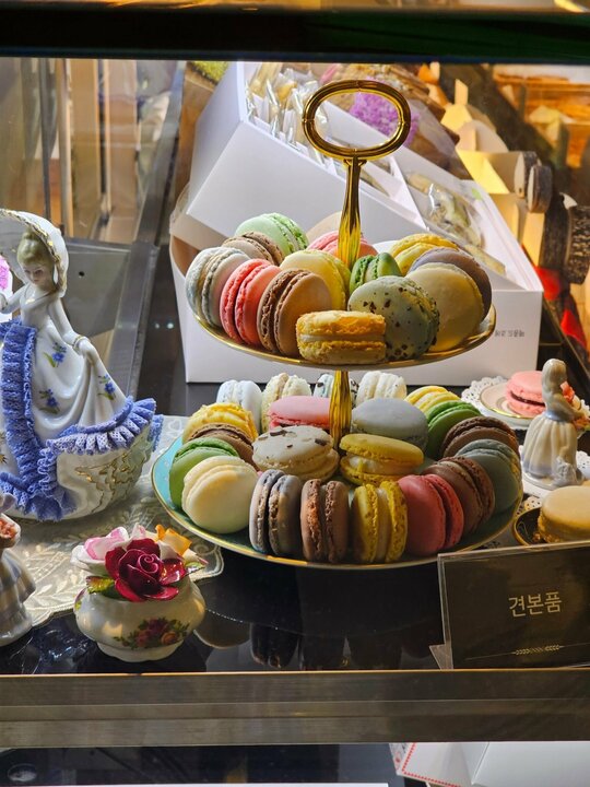 메종드조에 현대백화점무역센터점