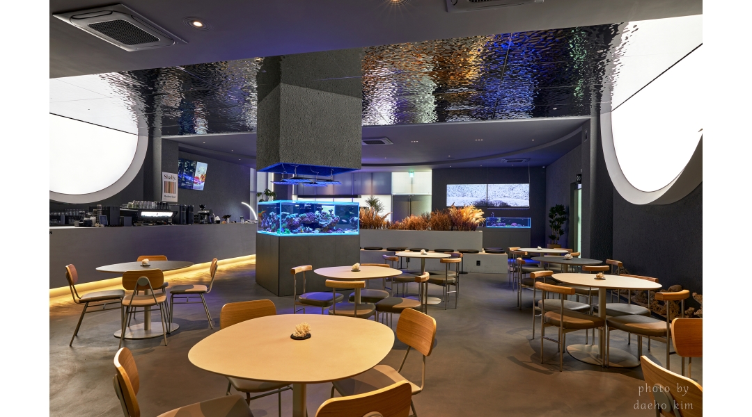 카페쉘리&캐주얼다이닝 수서점