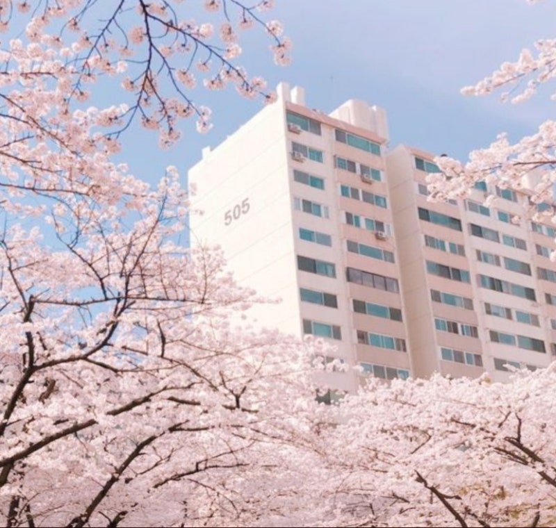 빈스테라스 상일동역점