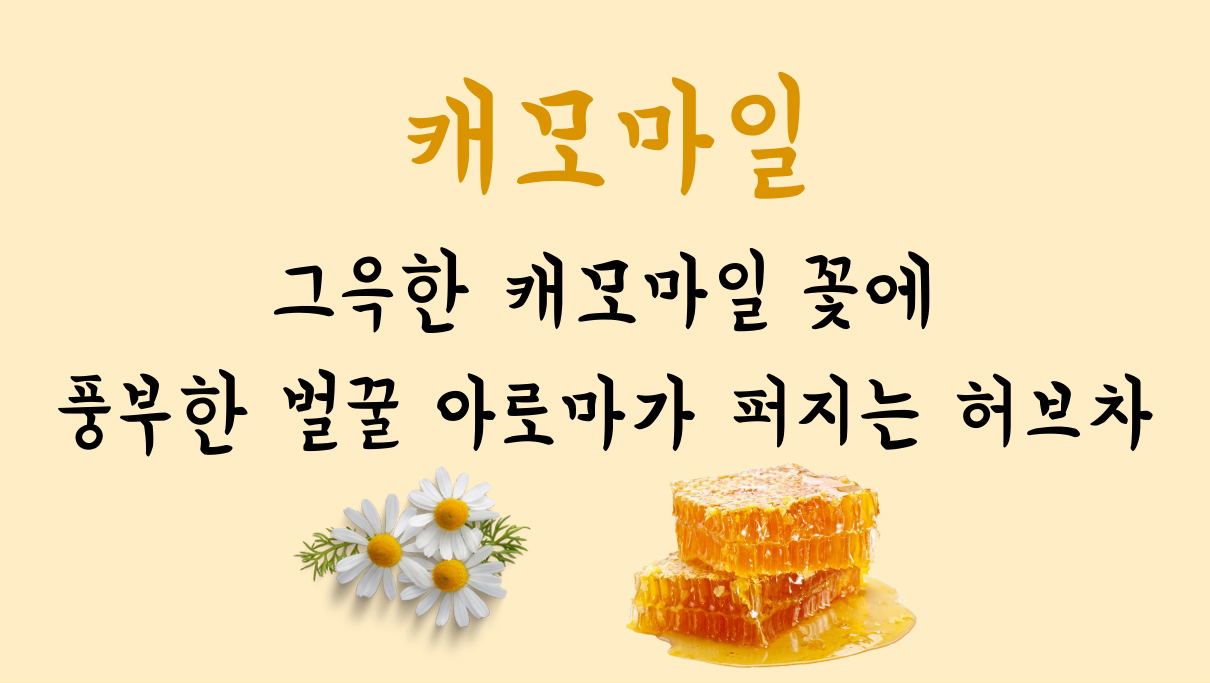 압구정생식빵 옵션블랙