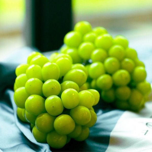 긴자 올림픽공원점