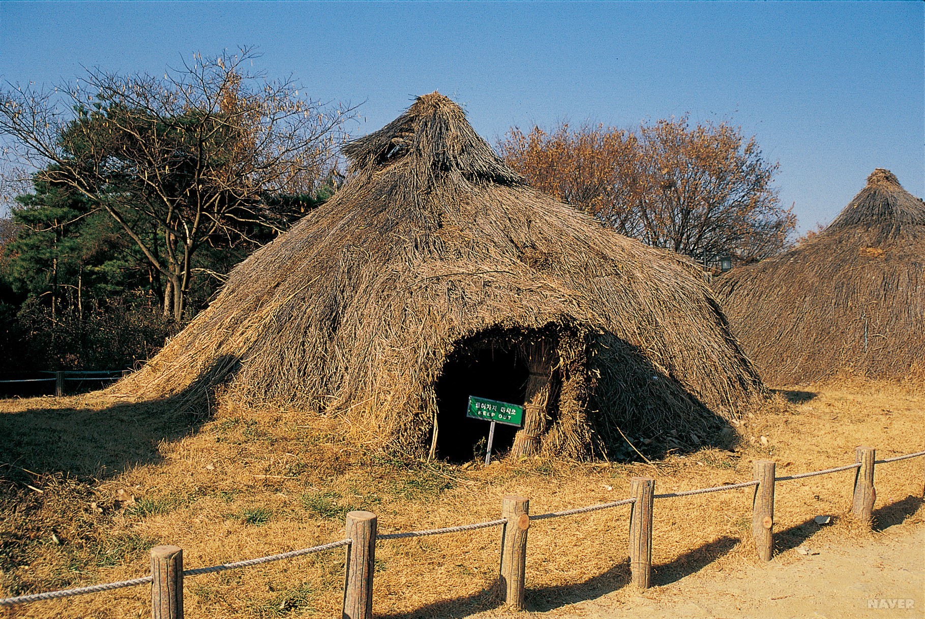 선사숯불닭갈비