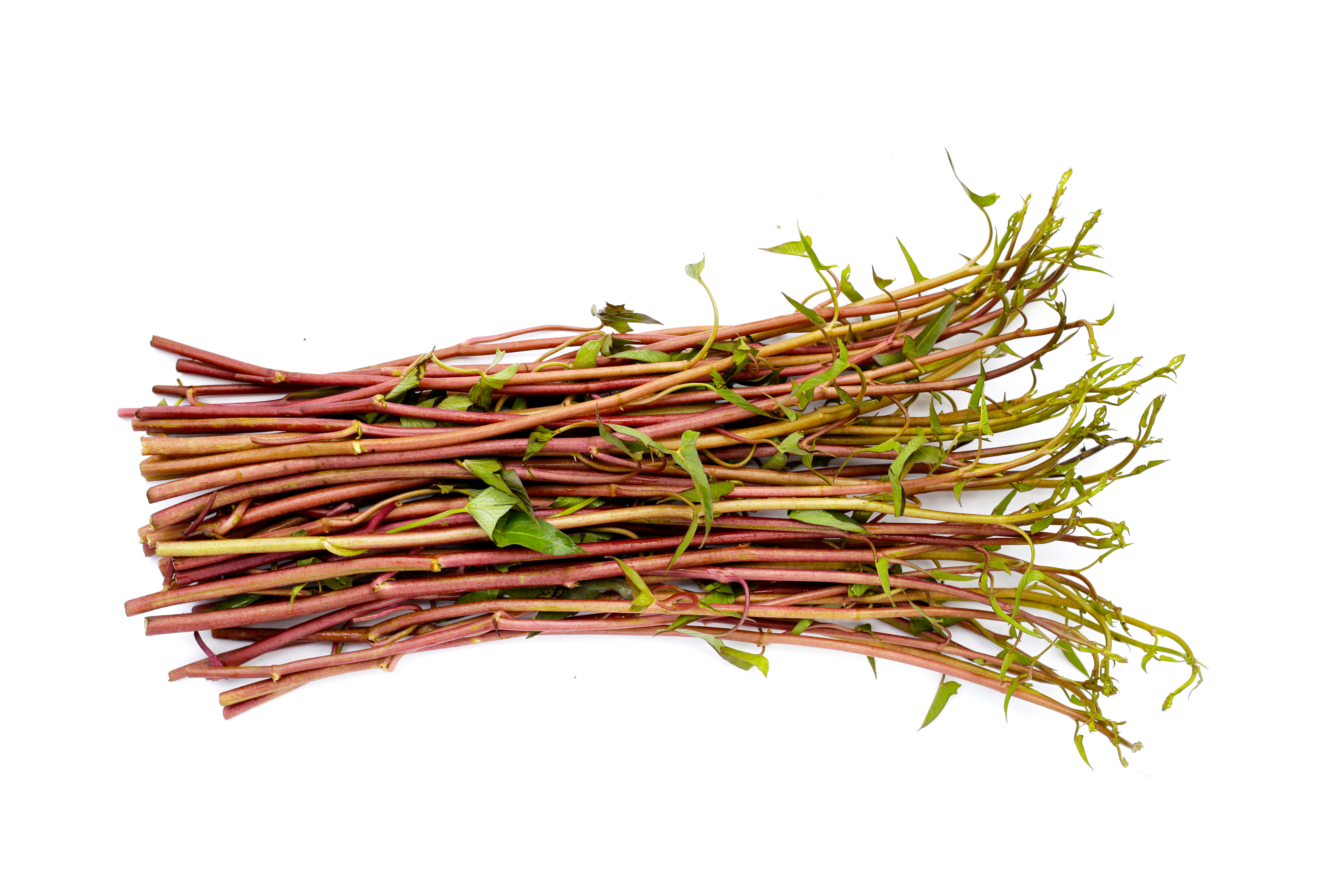 명가뼈다귀감자탕