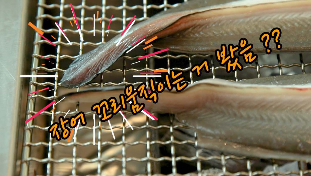 풍천숯불민물장어