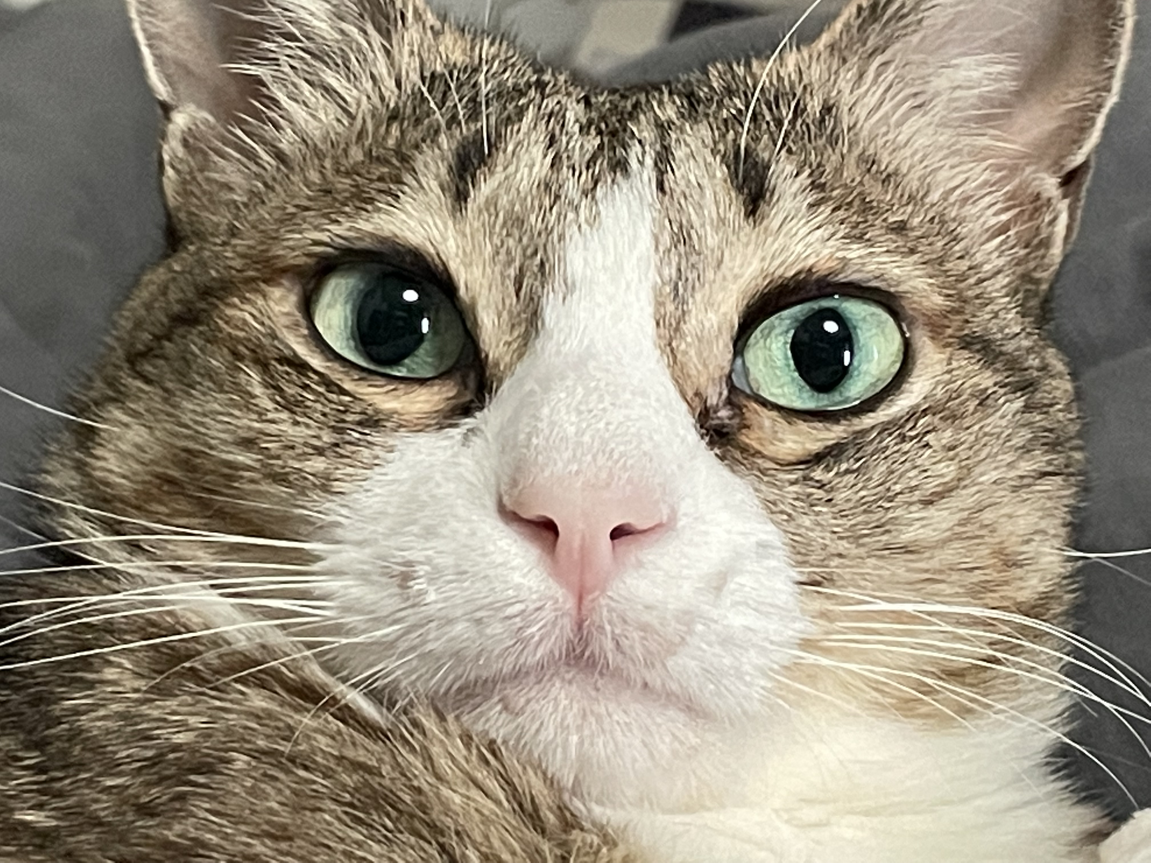 육회이야기 광진점