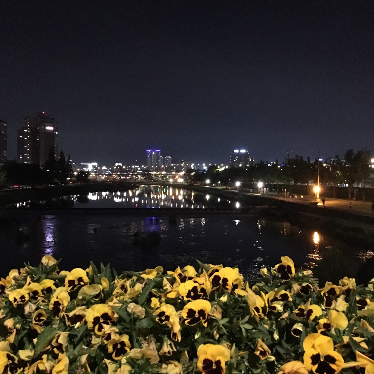 앤티앤스프레즐 대치점