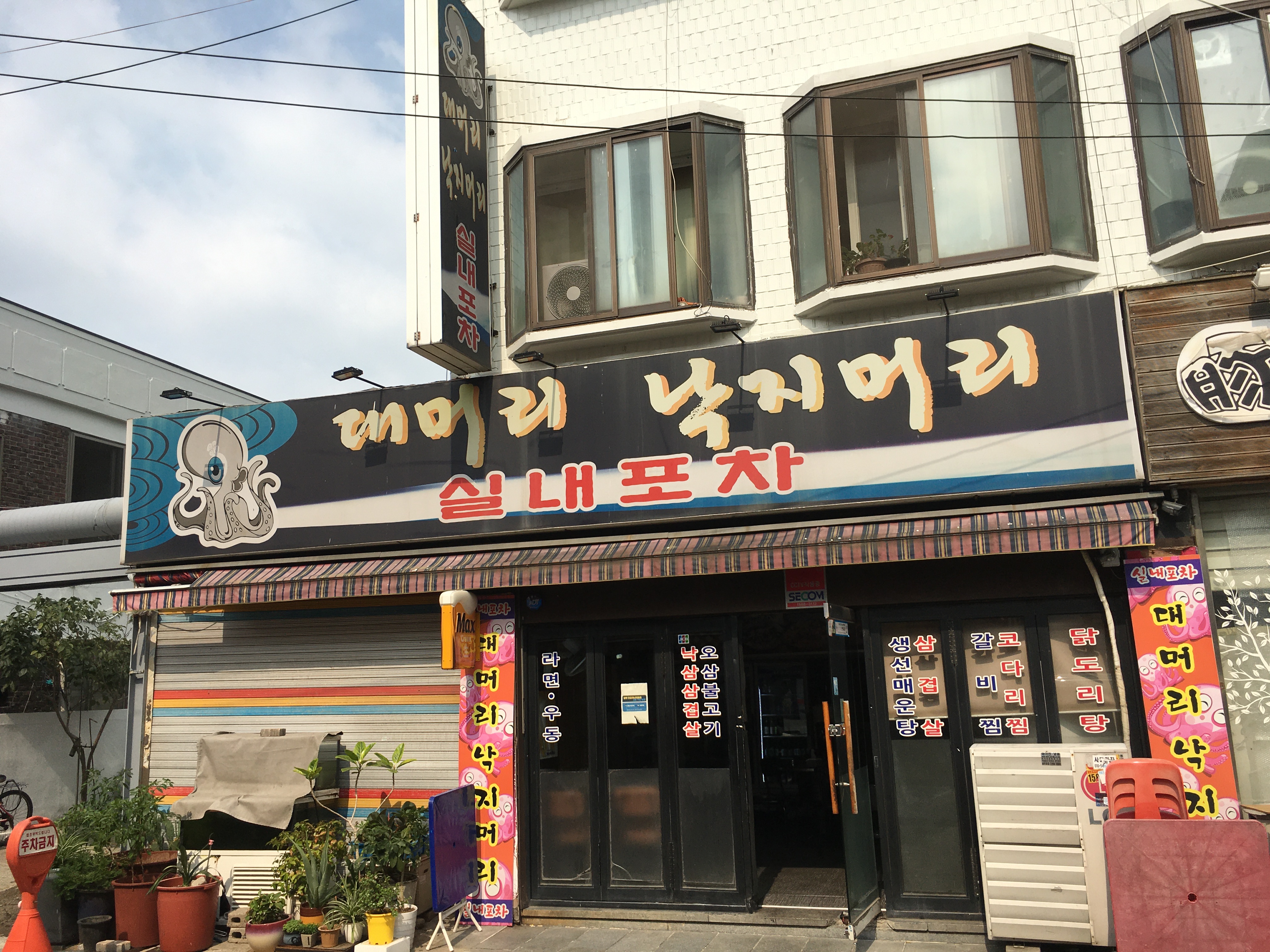 대머리낙지머리 실내포차